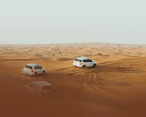 Desert Safari With BBQ Lunch