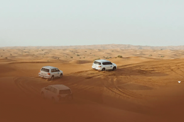 Desert Safari With BBQ Lunch