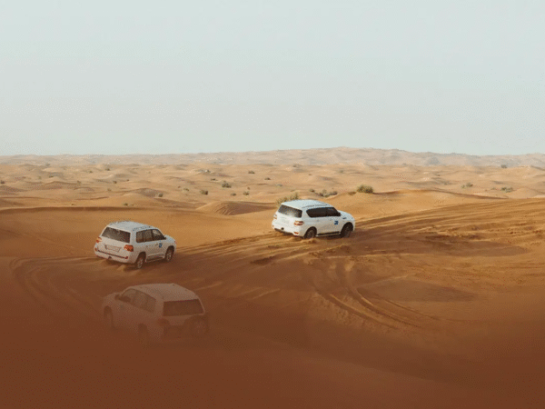 Desert Safari With BBQ Lunch